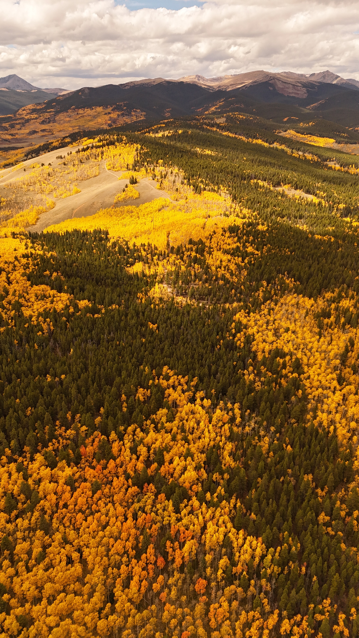 Breathtaking aerial shots of vibrant autumn aspen groves and changing mountain foliage in the local area.