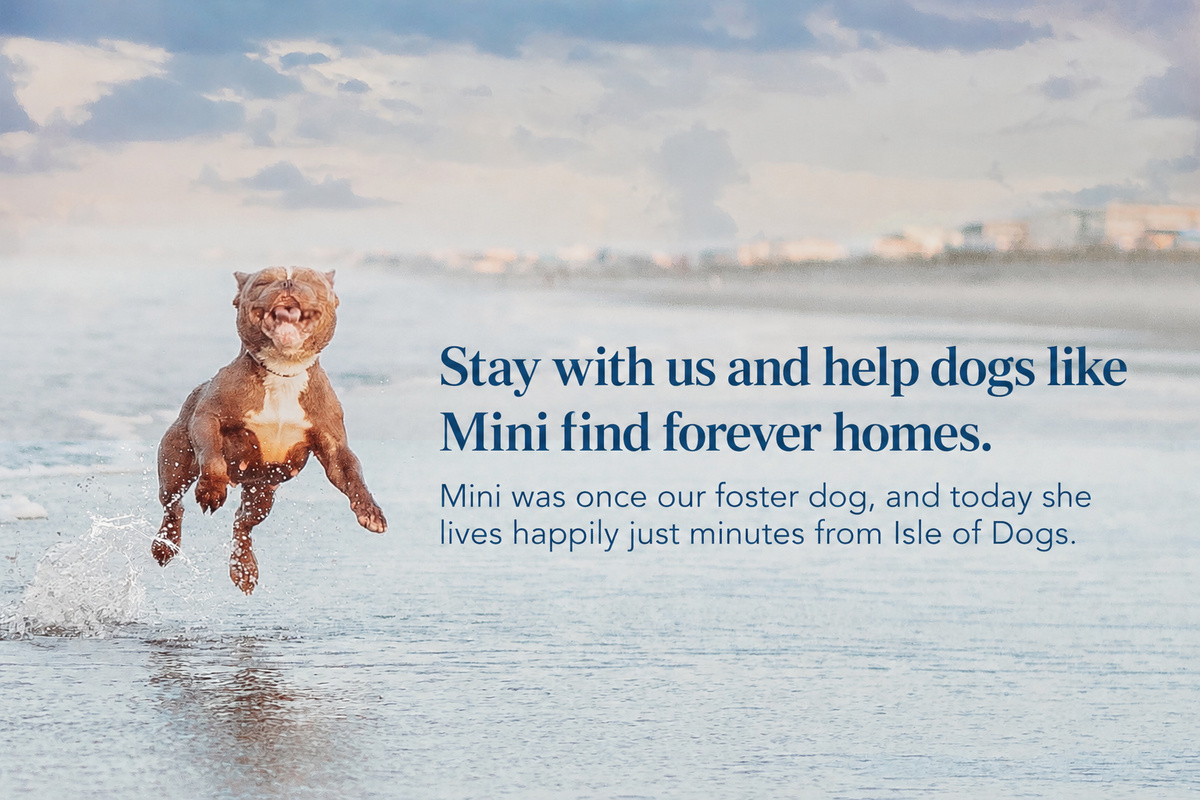 YES, it is a REAL picture our our former foster enjoying the beach!!!