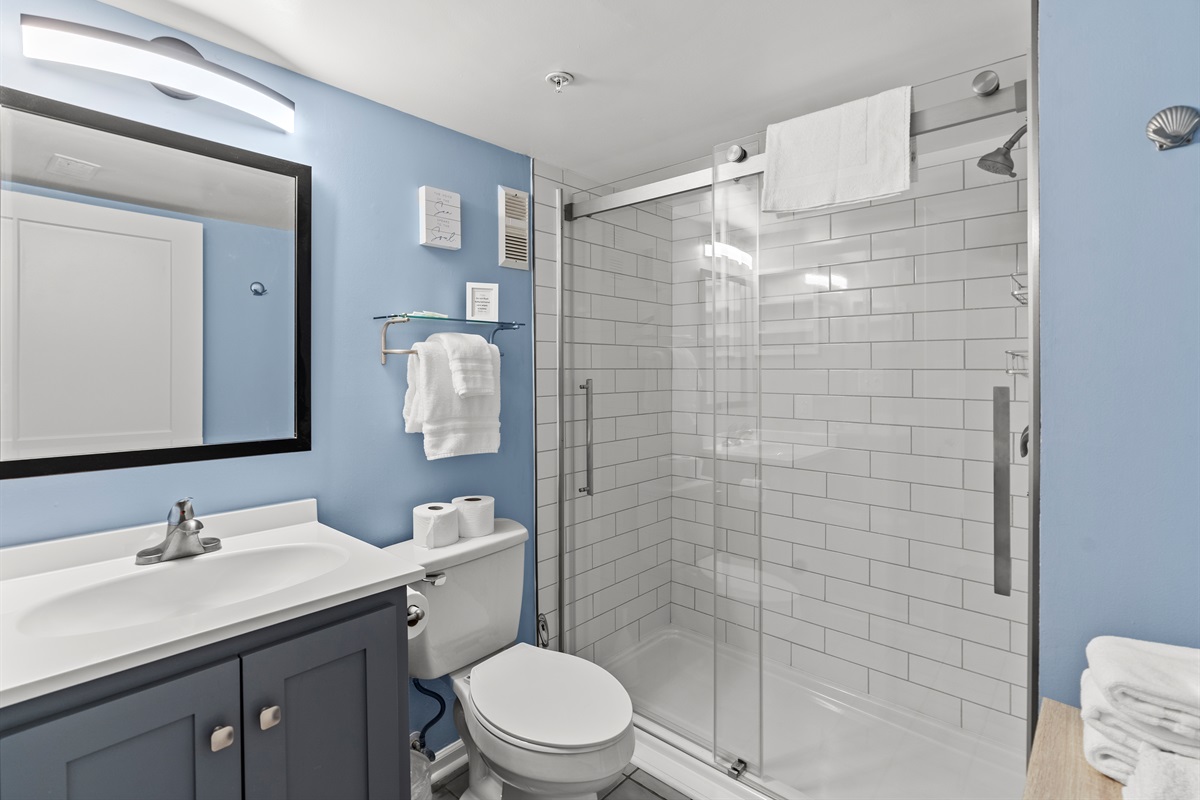 Newly remodeled Bathroom with stand alone shower