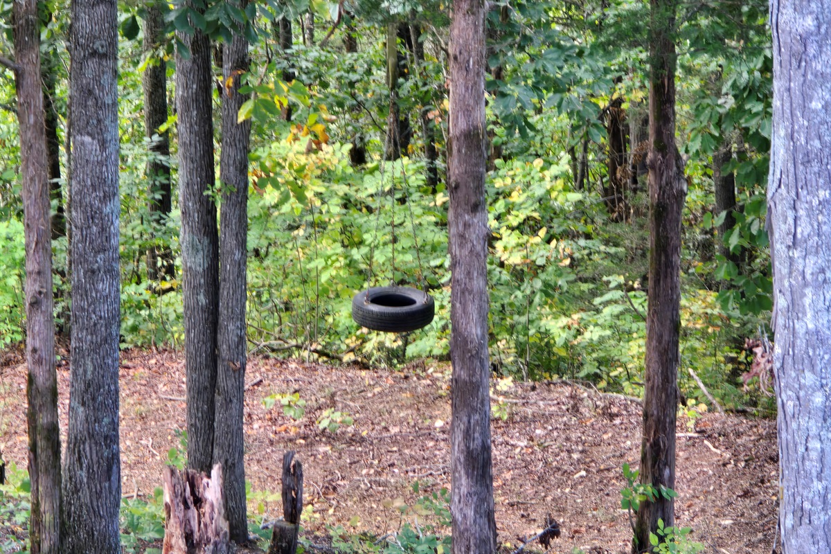 Tire Swing