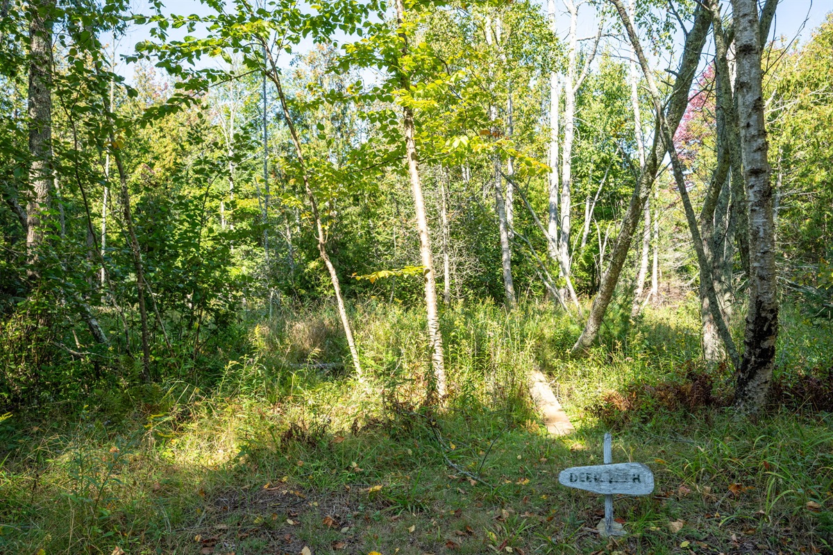 Private One Acre Lot