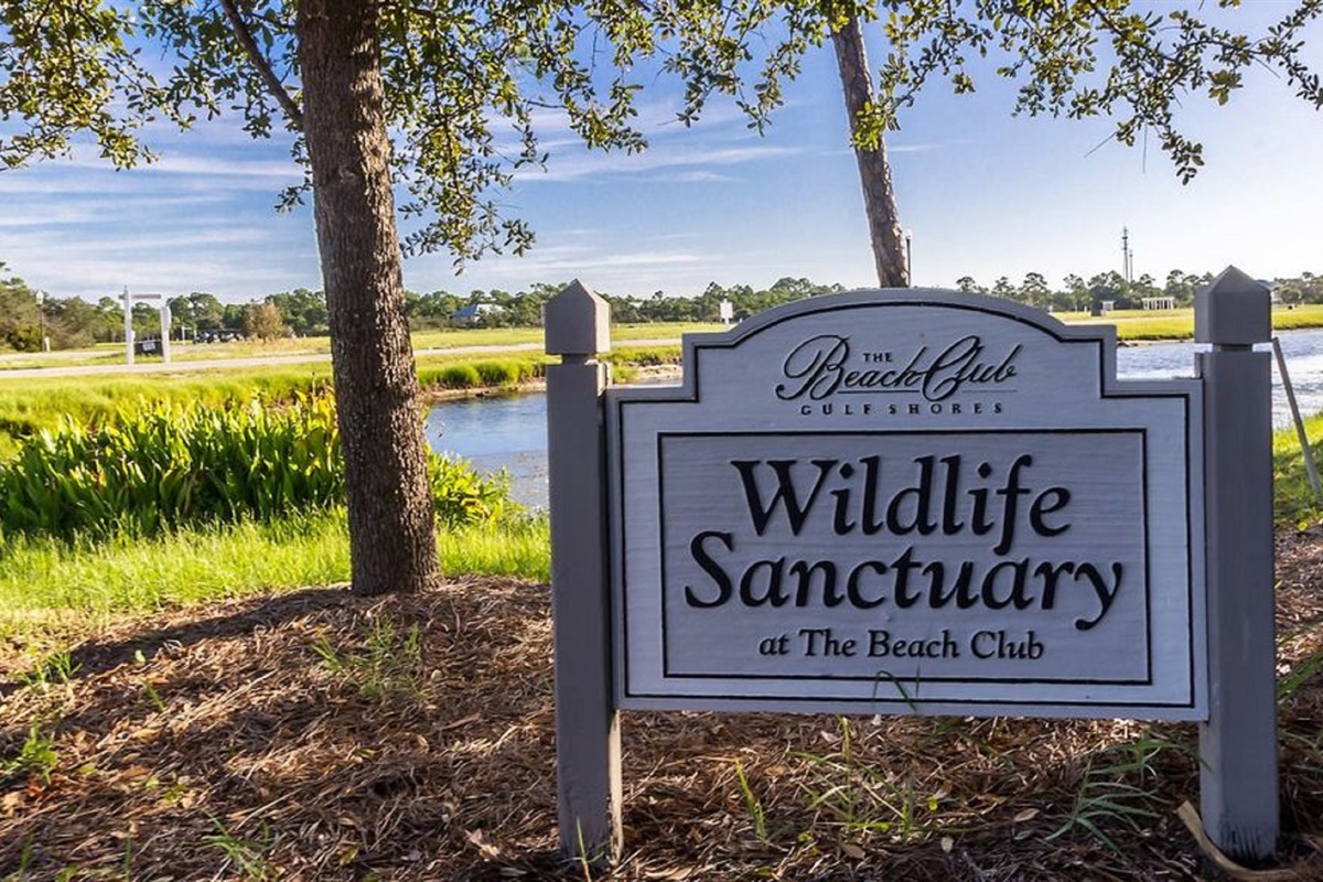 When walking, running, or biking around the property, you'll find several ponds where you might find interesting wildlife
