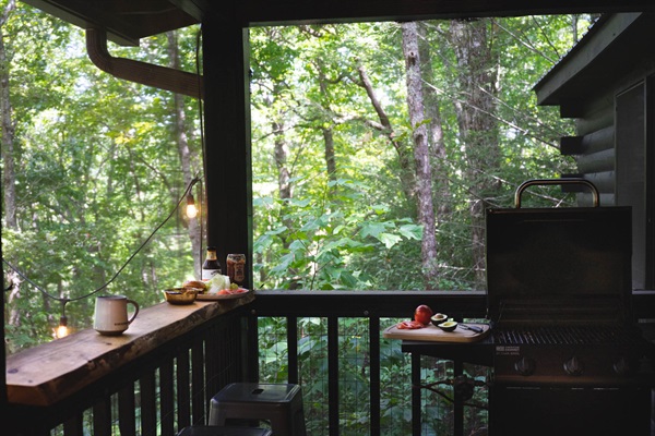 Grill with a view in the screened porch
