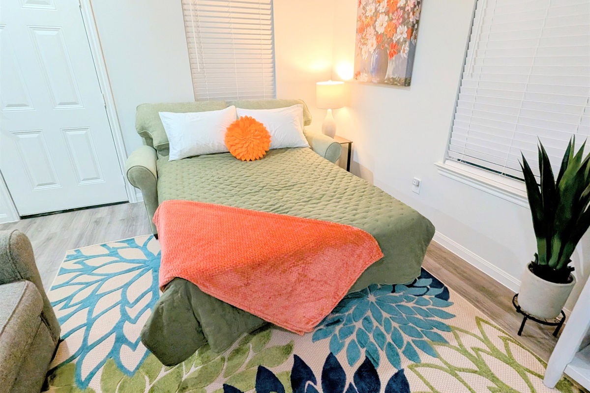 Full size sleeper sofa is located in the living room.