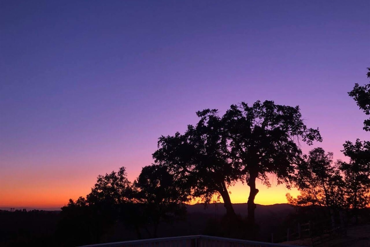 Our instagrammable Great Oak. #moonranchgreatoak Incredible sunset captured by one of our guests. Photo credit: Shervin Kharazmi