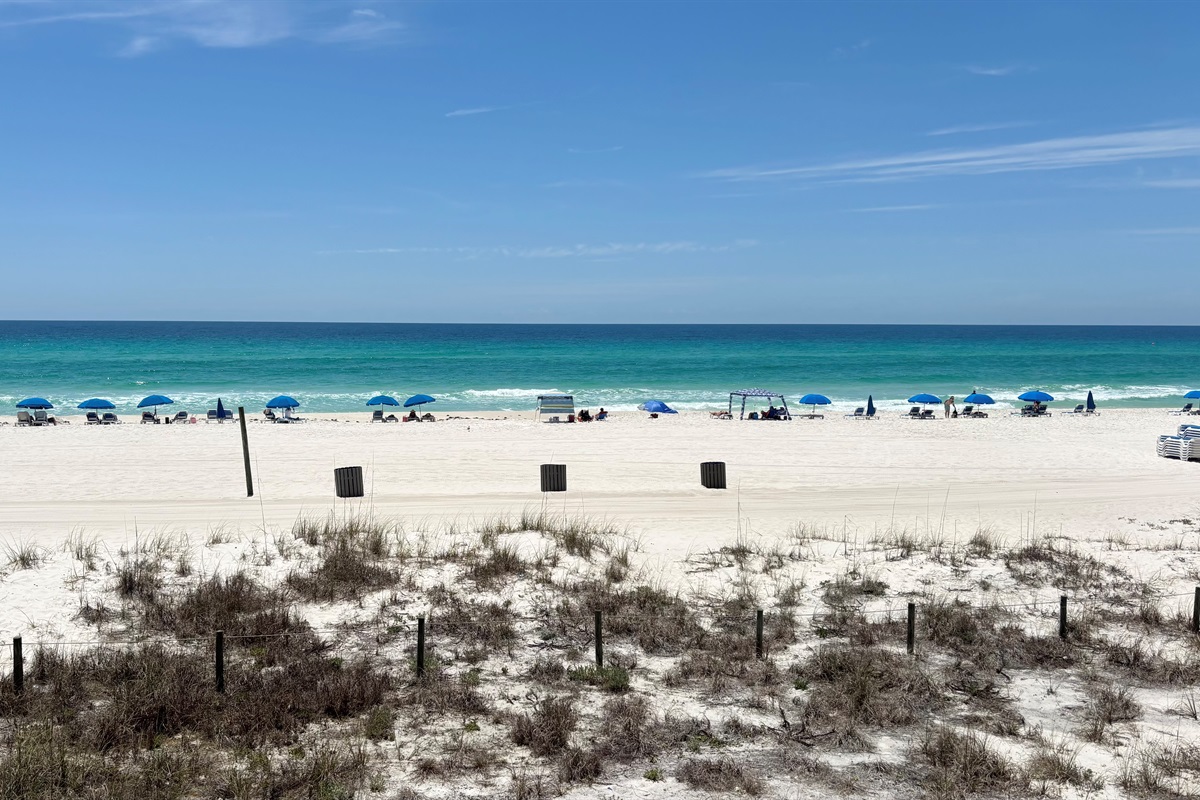 Beach volleyball anyone?