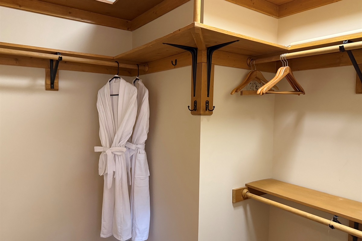 Large walk-in closet with Master bedroom