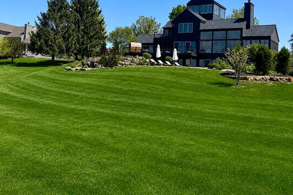 Large Private BackyarRoom to run. Kids, dogs, lawn games, the whole hilltop is yours.d