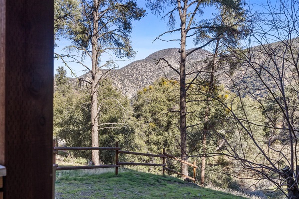 Serene back patio, surrounded by peaceful nature and fresh mountain air.