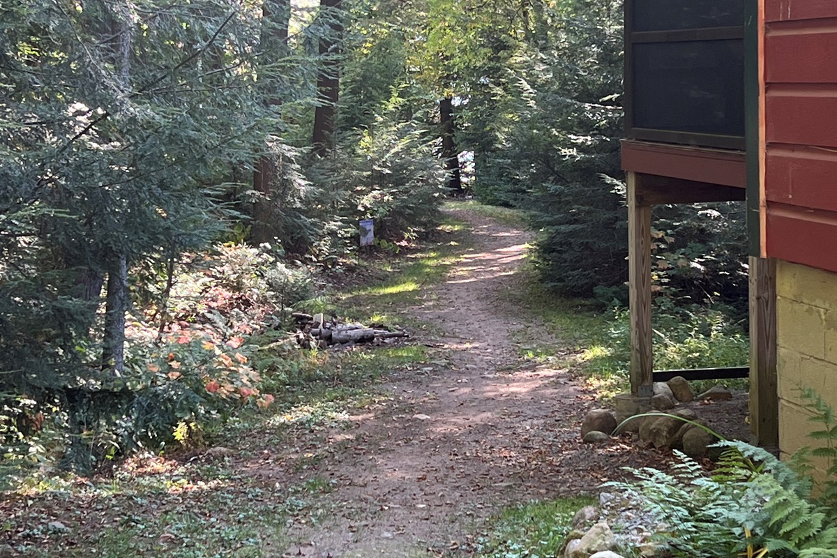 Path to the lake