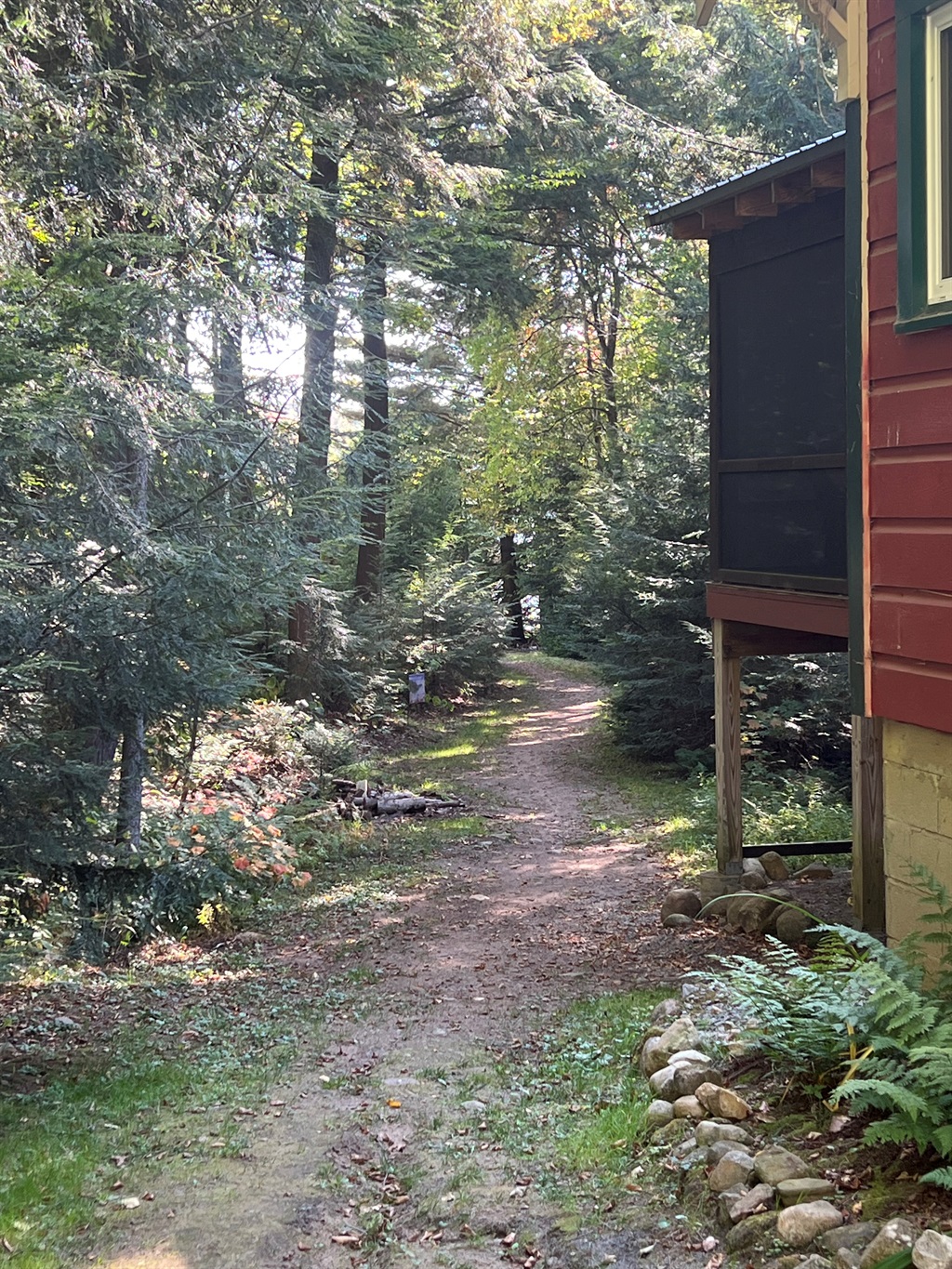 Path to the lake