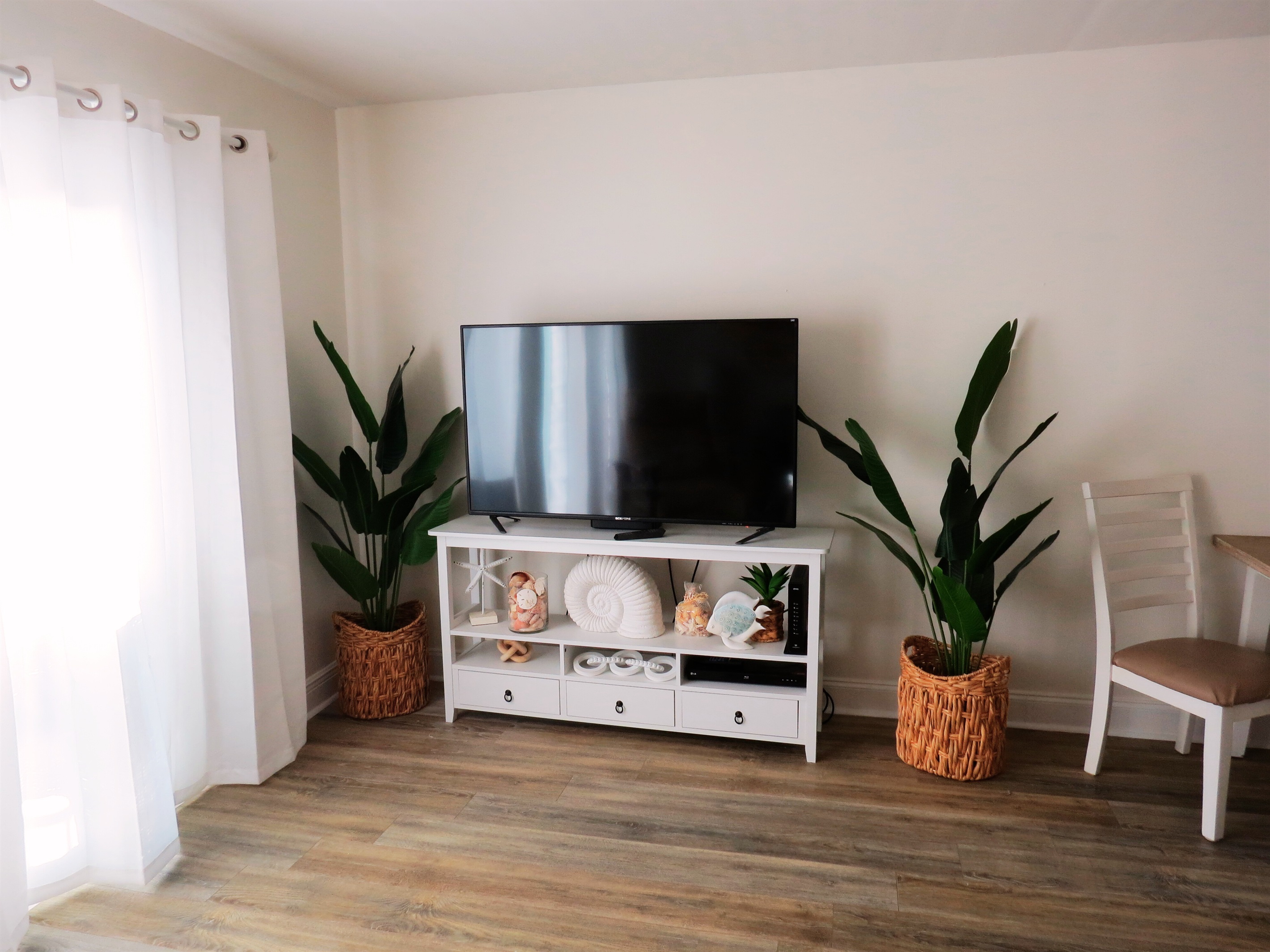 Living Room TV