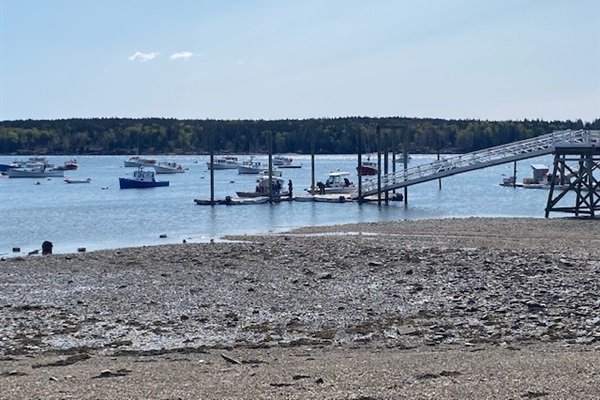 Owls Head Harbor