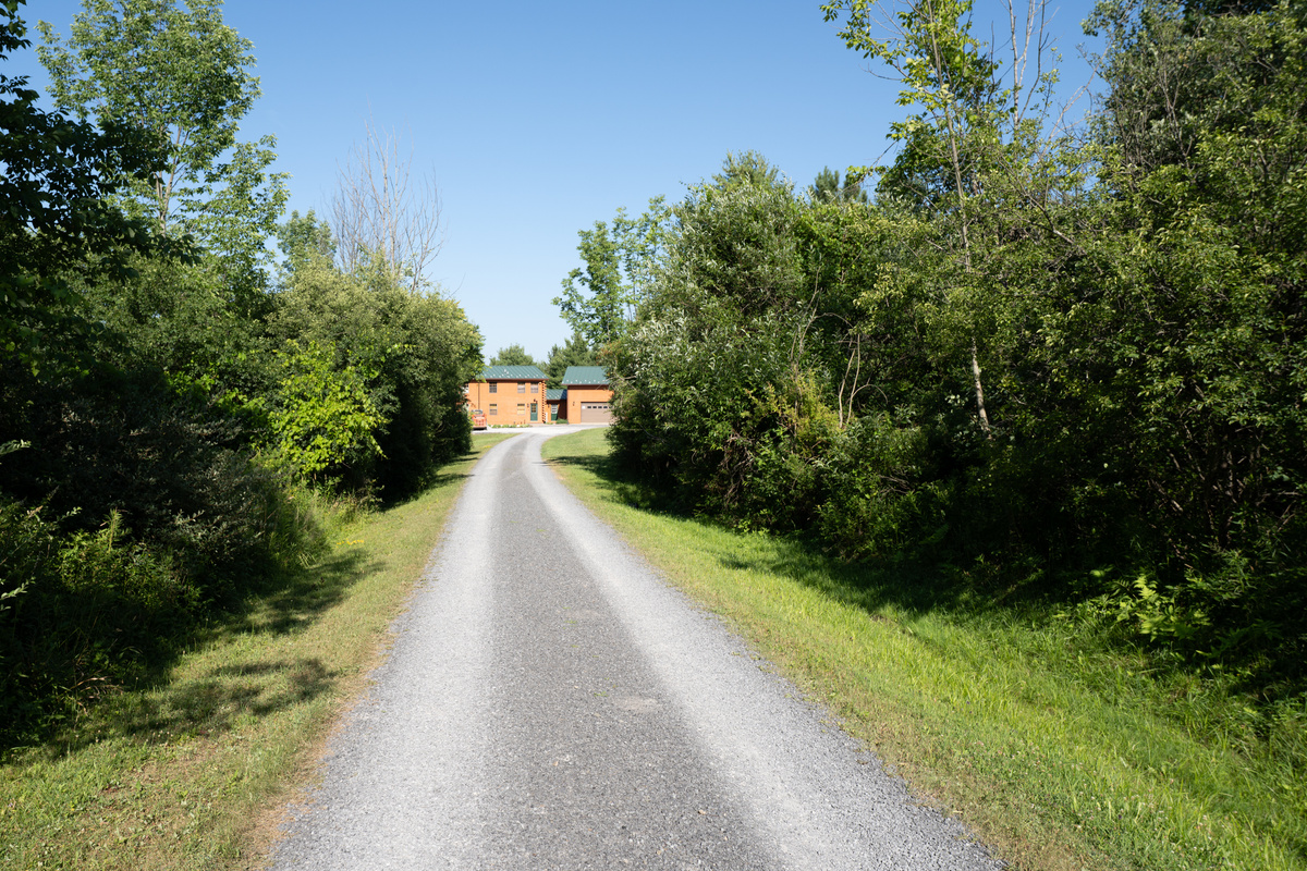 Gravel driveway bordered by trees