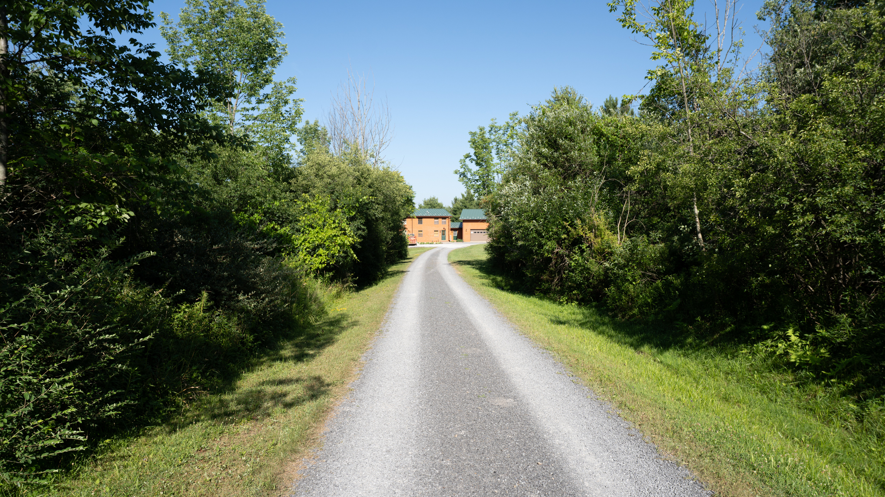 Gravel driveway bordered by trees