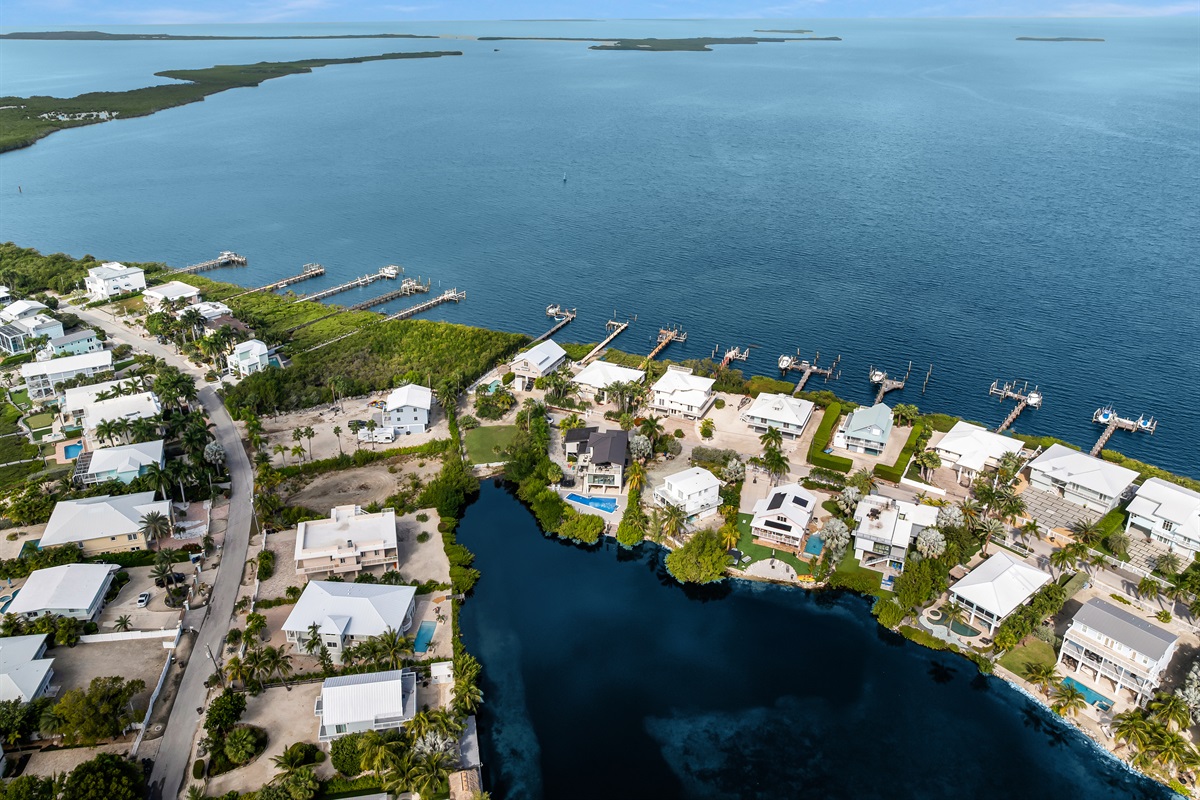 Aerial view of neighborhood