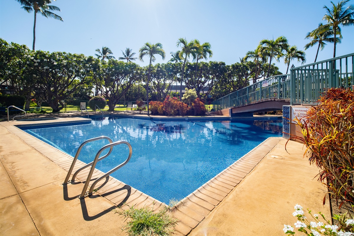 Koa Resort Pool