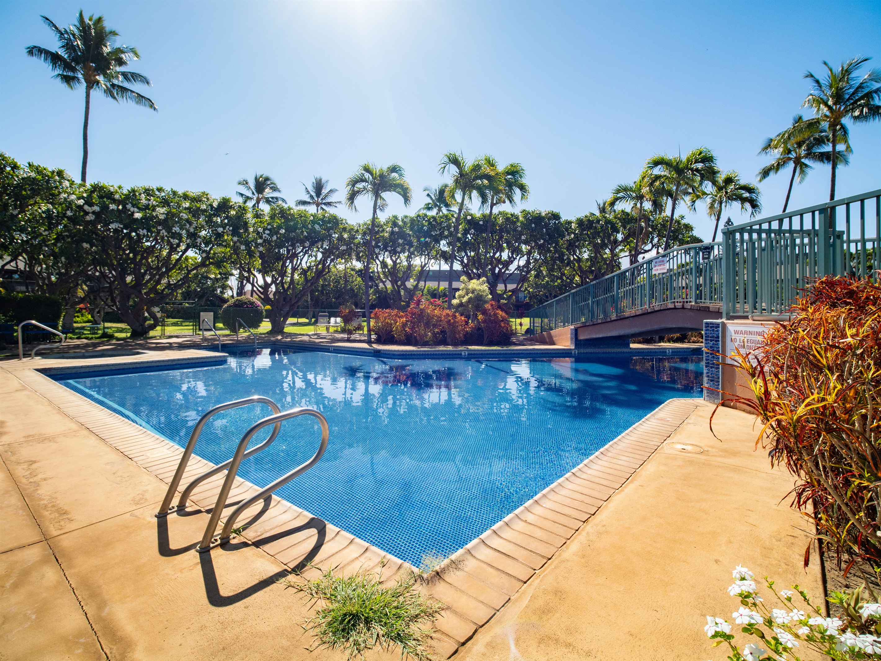 Koa Resort Pool