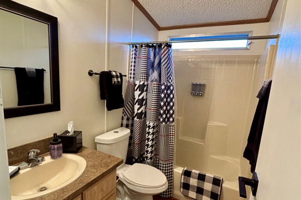 Hallway Bathroom