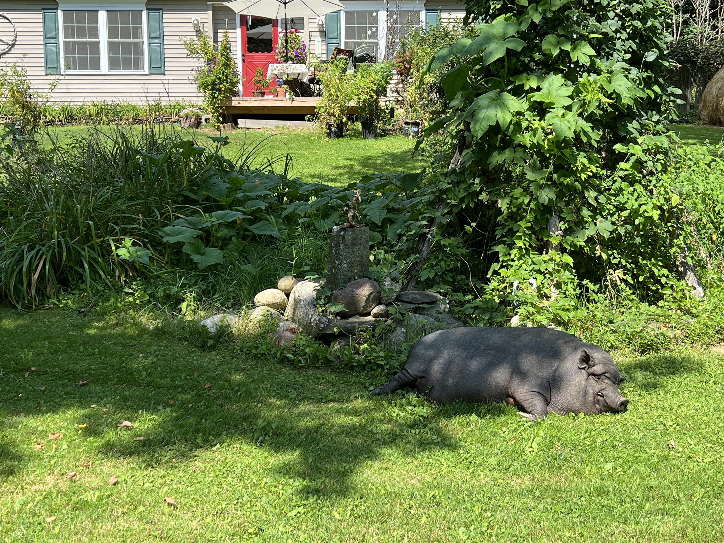 Its rough being such a BIG deal!