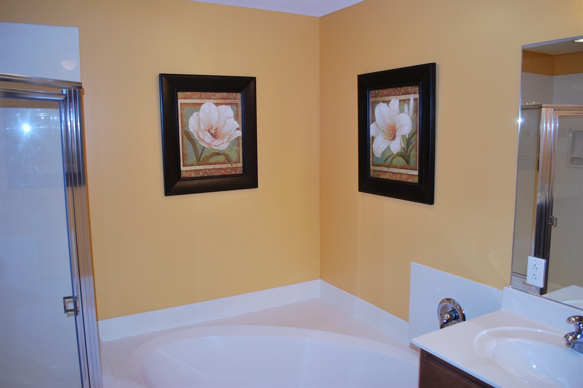 Master Bathroom with shower and bathtub