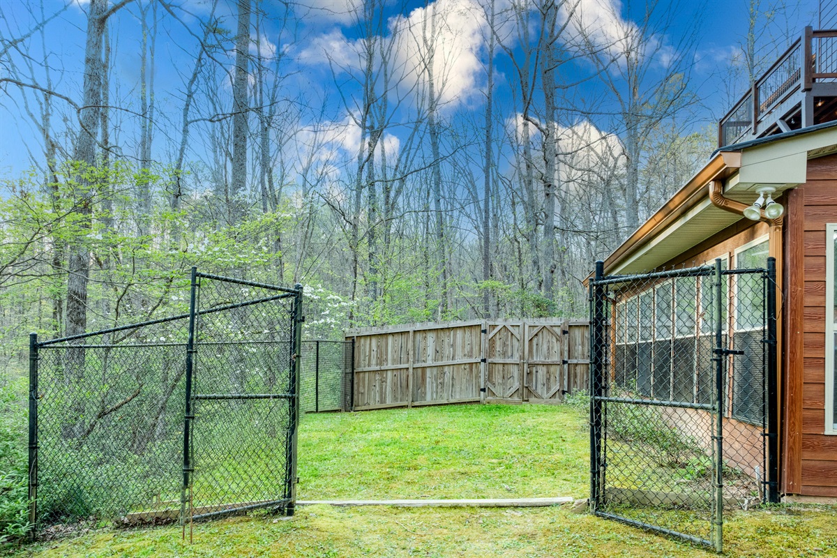 Fenced back yard