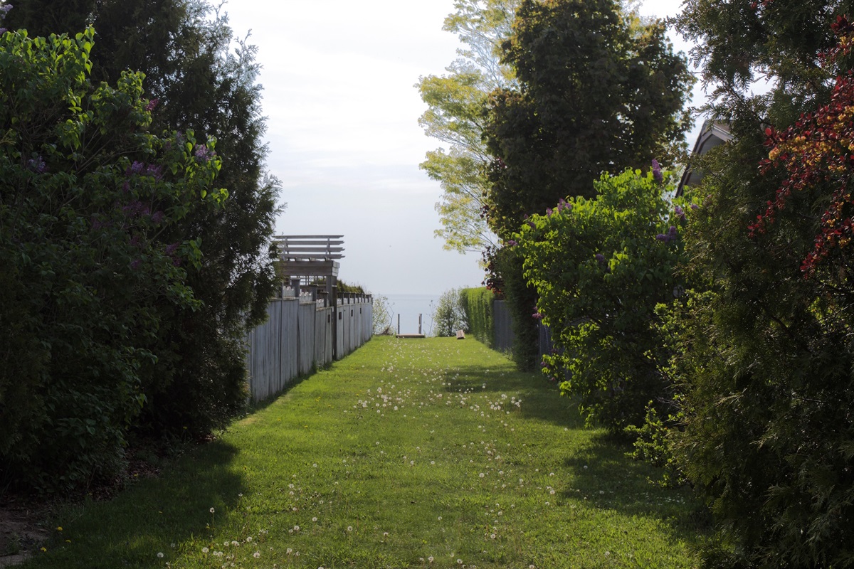 de554c83474440fc819181a77756786e Large