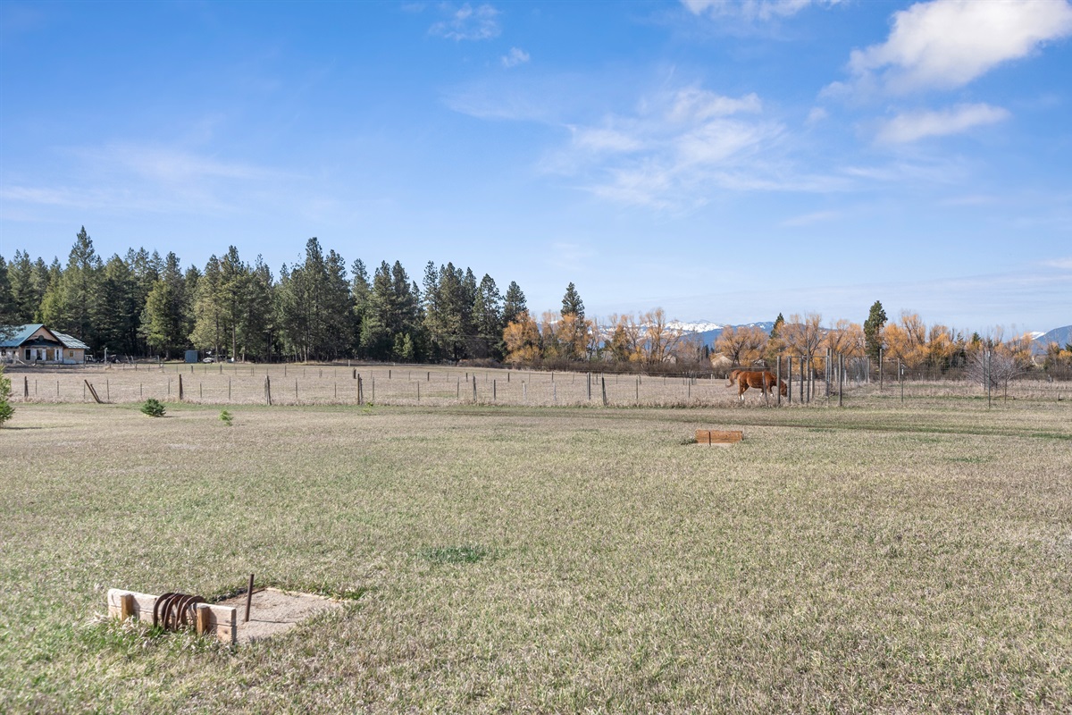 Enjoy a game of horseshoes on the back acreage