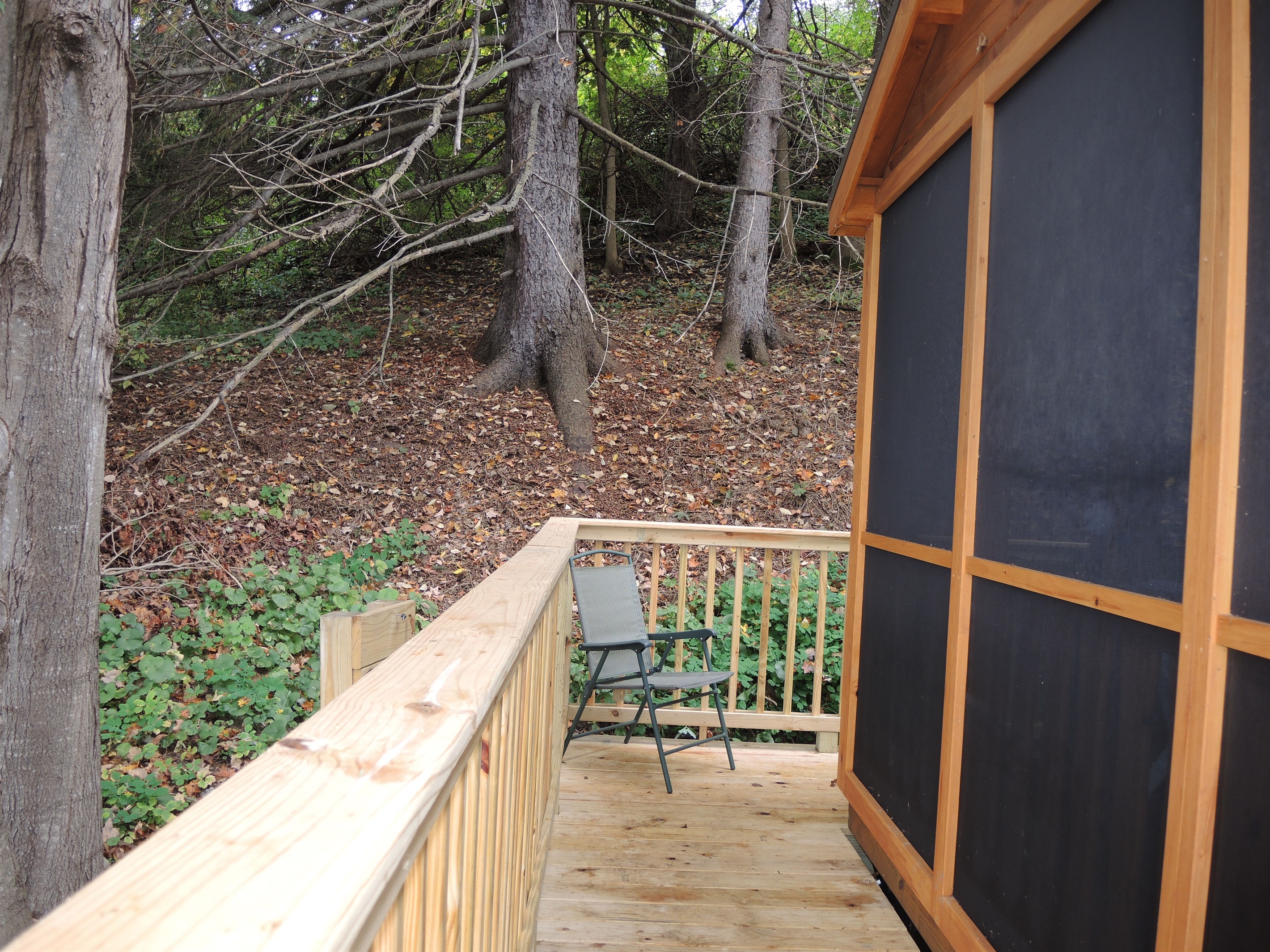 Deck and screened in porch