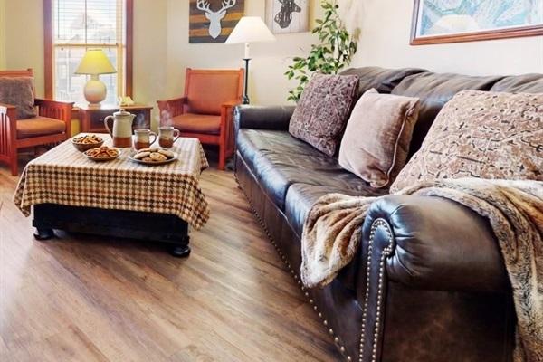 Living room sleeper sofa