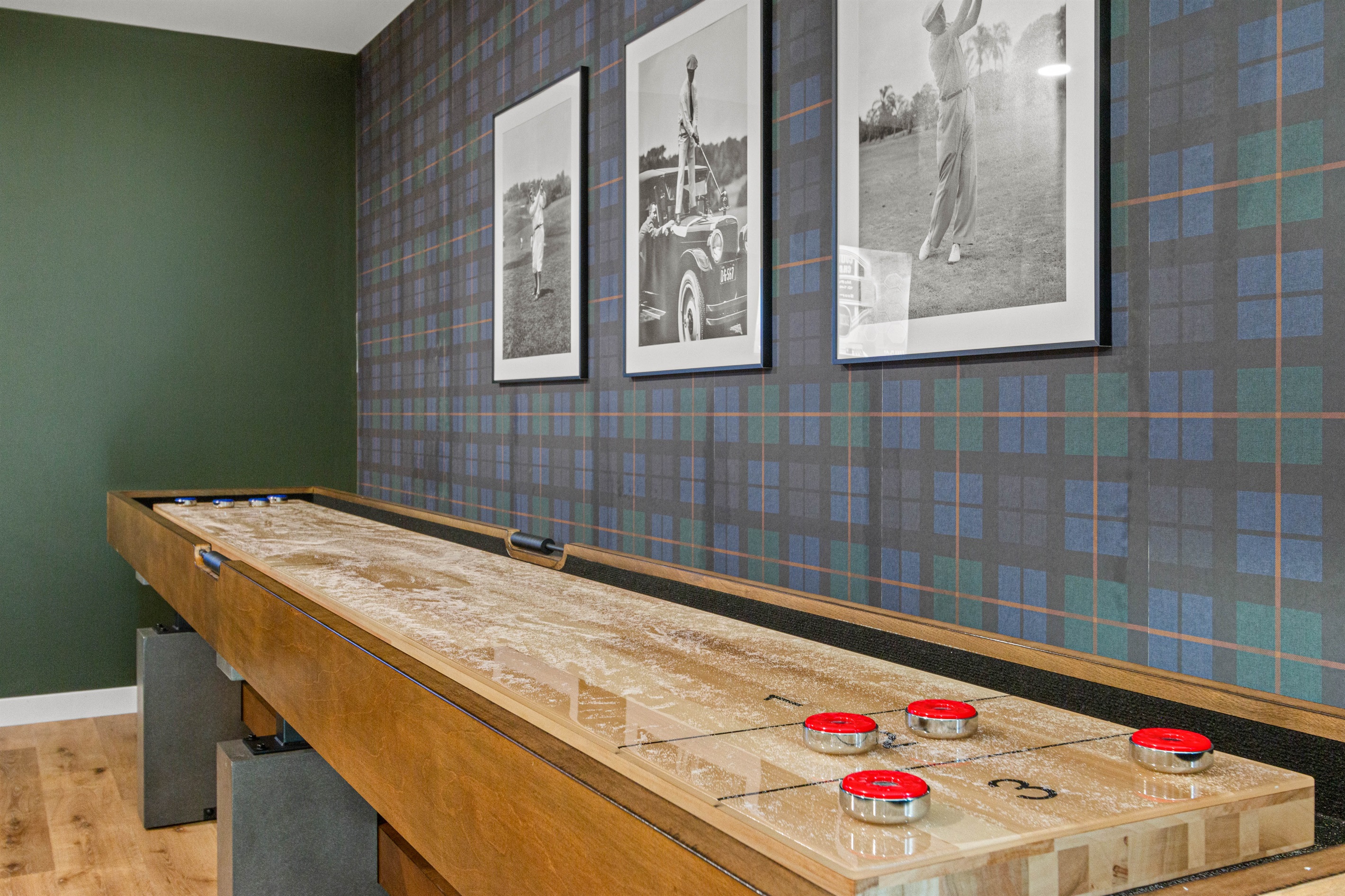 Shuffleboard Table