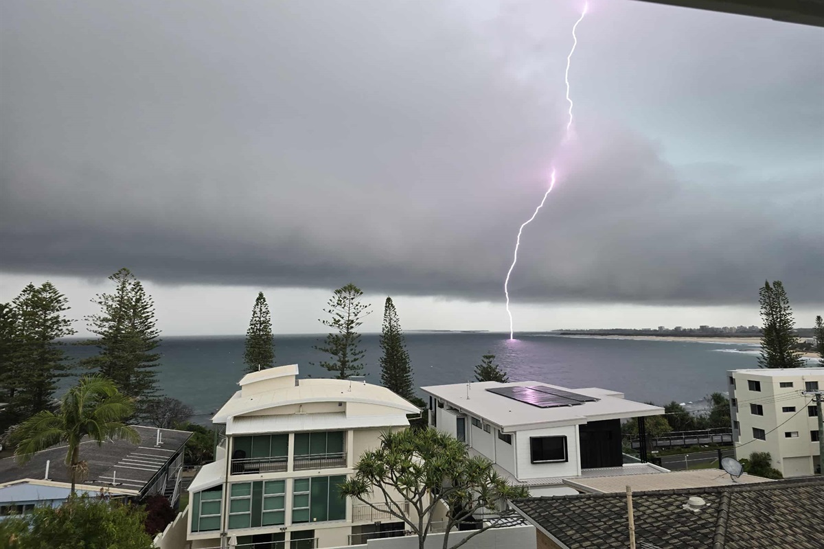 Marvel at mother nature from the comfort of your living room!