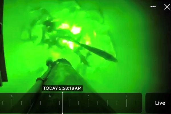 Now that's a big snook! Hang on to your fishing pole