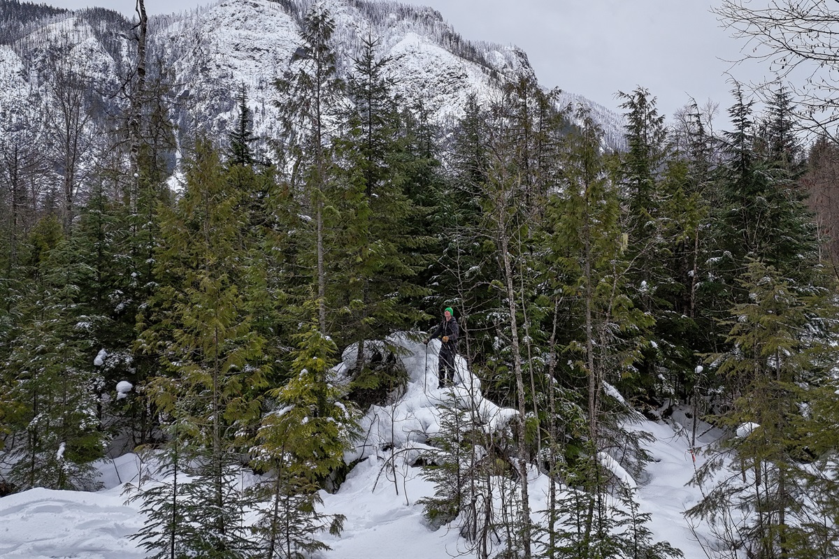 Explore our exclusive Kih&icirc;w Nature Trail in the winter, beautiful scenery and expansive mountain views - Snowshoe rentals available upon request.