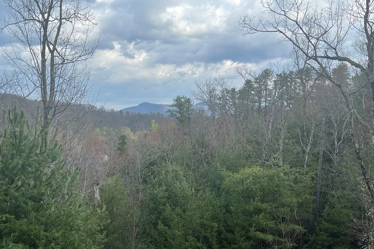 As the leaves fall, the view just becomes more stunning.