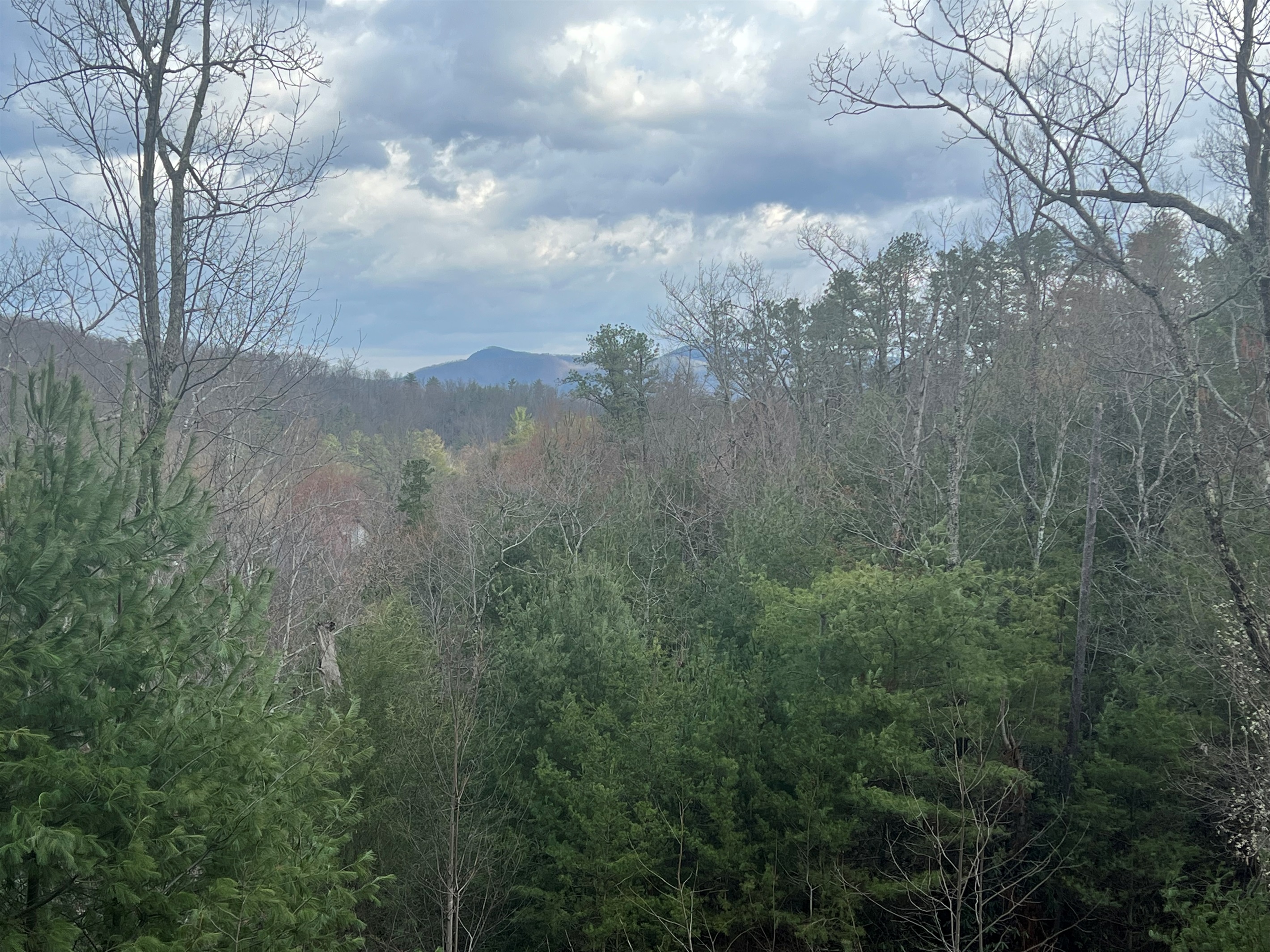 As the leaves fall, the view just becomes more stunning.