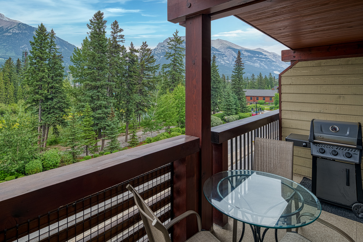 Unobstructed views from the north facing balcony - includes dining table and seating for 4. Napoleon natural gas barbecue.