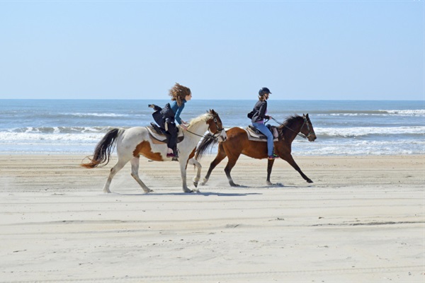 Horseback riding on the beach nearby, ask us!