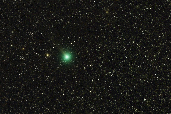 C2025 R2 Swan Comet 2025 10 21 Rob Wright