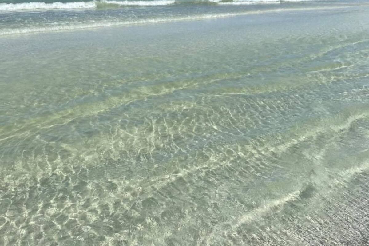 Discover the unspoiled beauty of the North Cape San Blas beaches, where soft white sand, gentle Gulf waves, and breathtaking sunsets create the ultimate coastal escape.