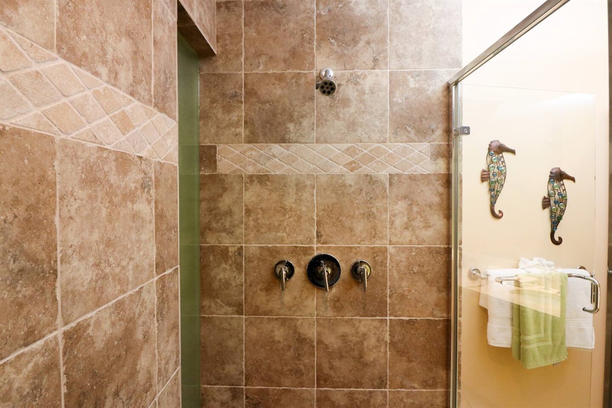 Walk-in shower