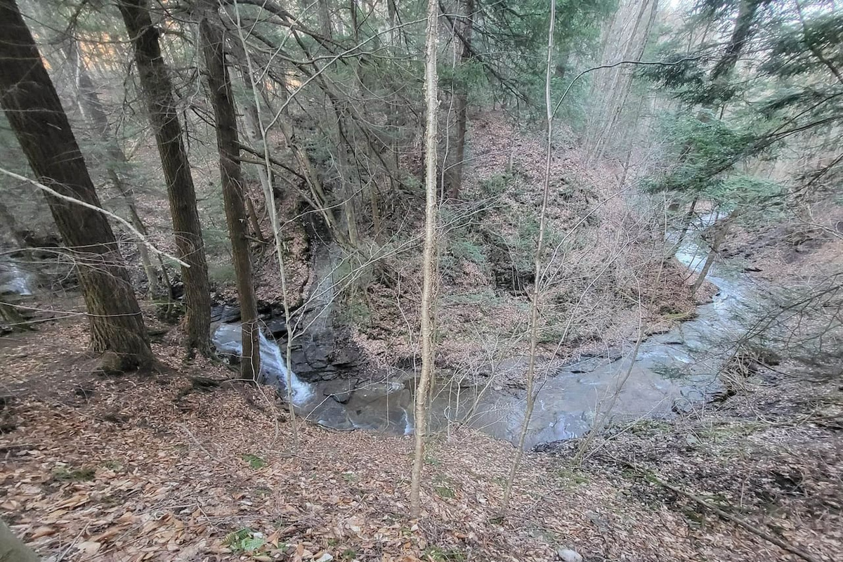 Waterfall on property