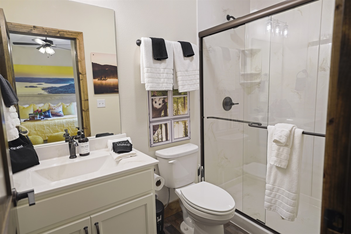 Walk in shower with all the amenities you need