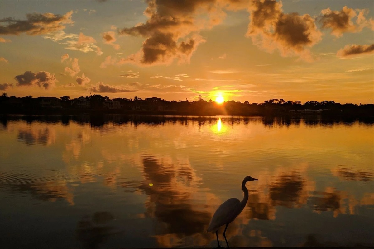 Golden sunset over the water with a silhouette of a heron.
