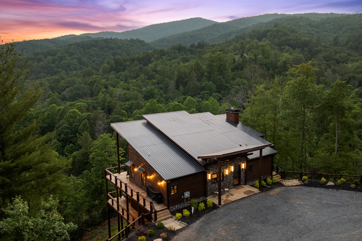 Treetop dreams as far as the eye can see.