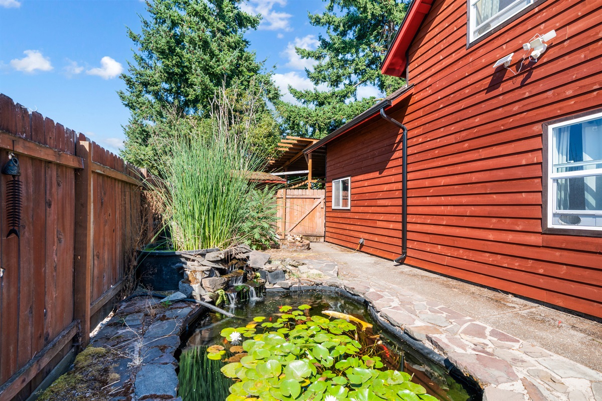Pond with water feature