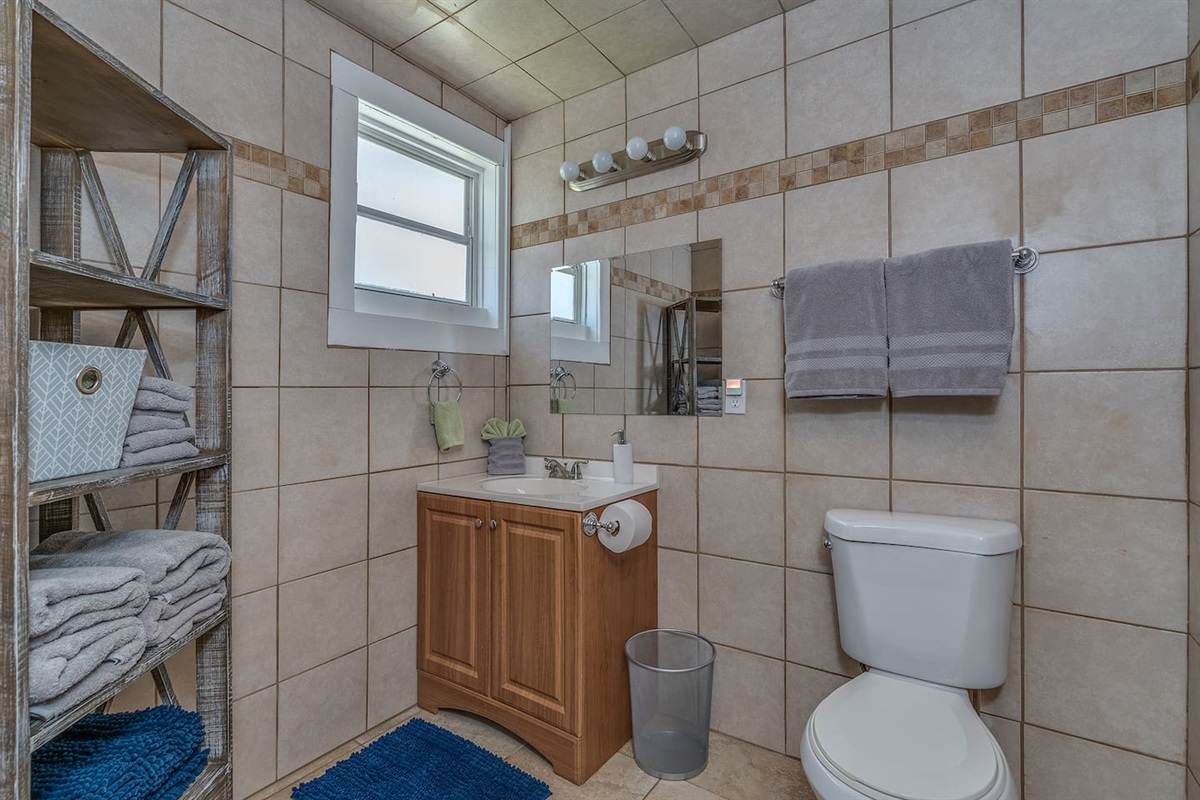 Master bath with tiled large stand-up shower