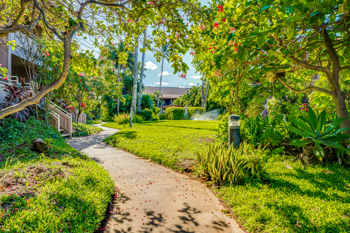 Take the path and find yourself at the shoreline.