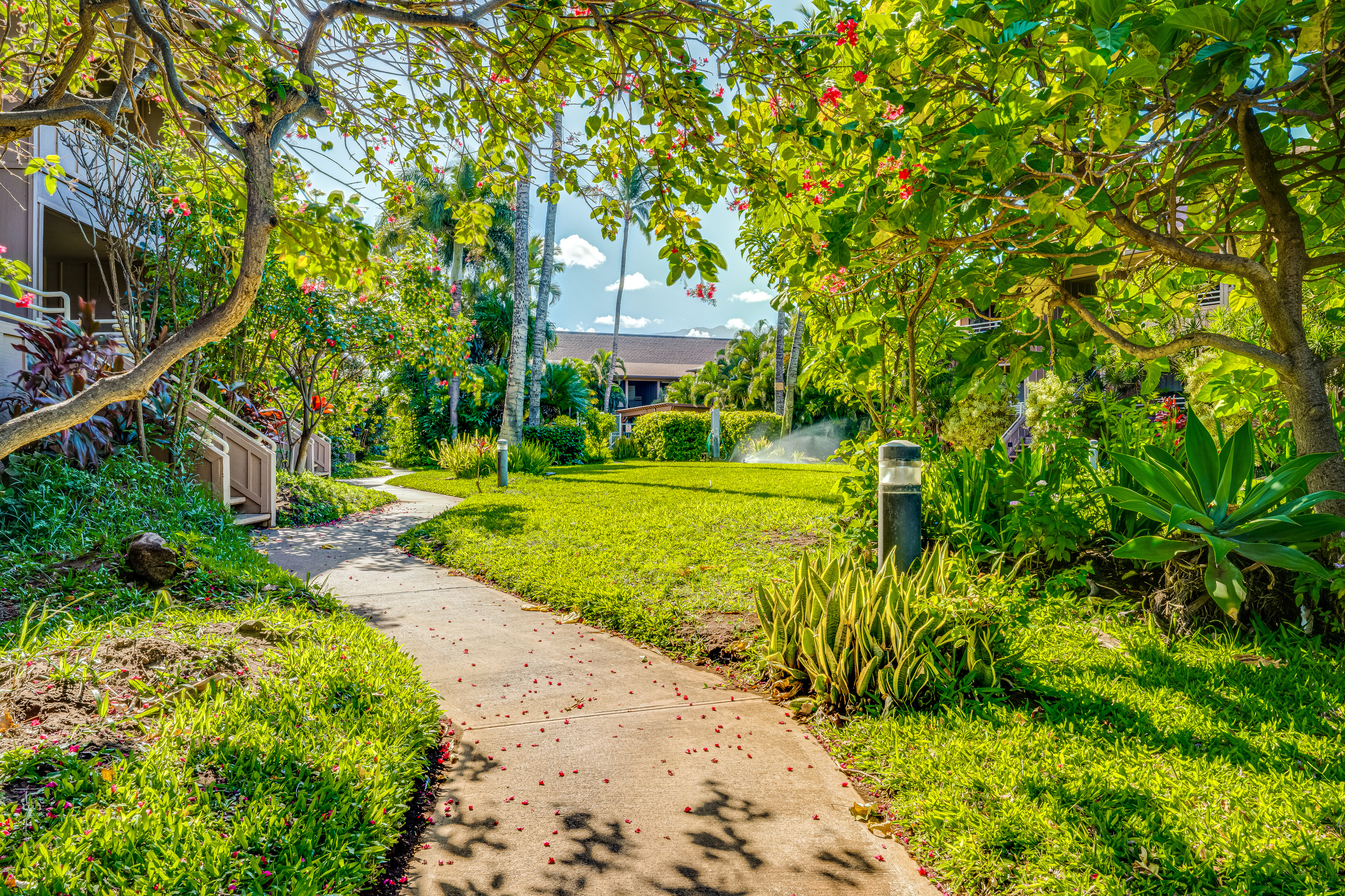 Take the path and find yourself at the shoreline.