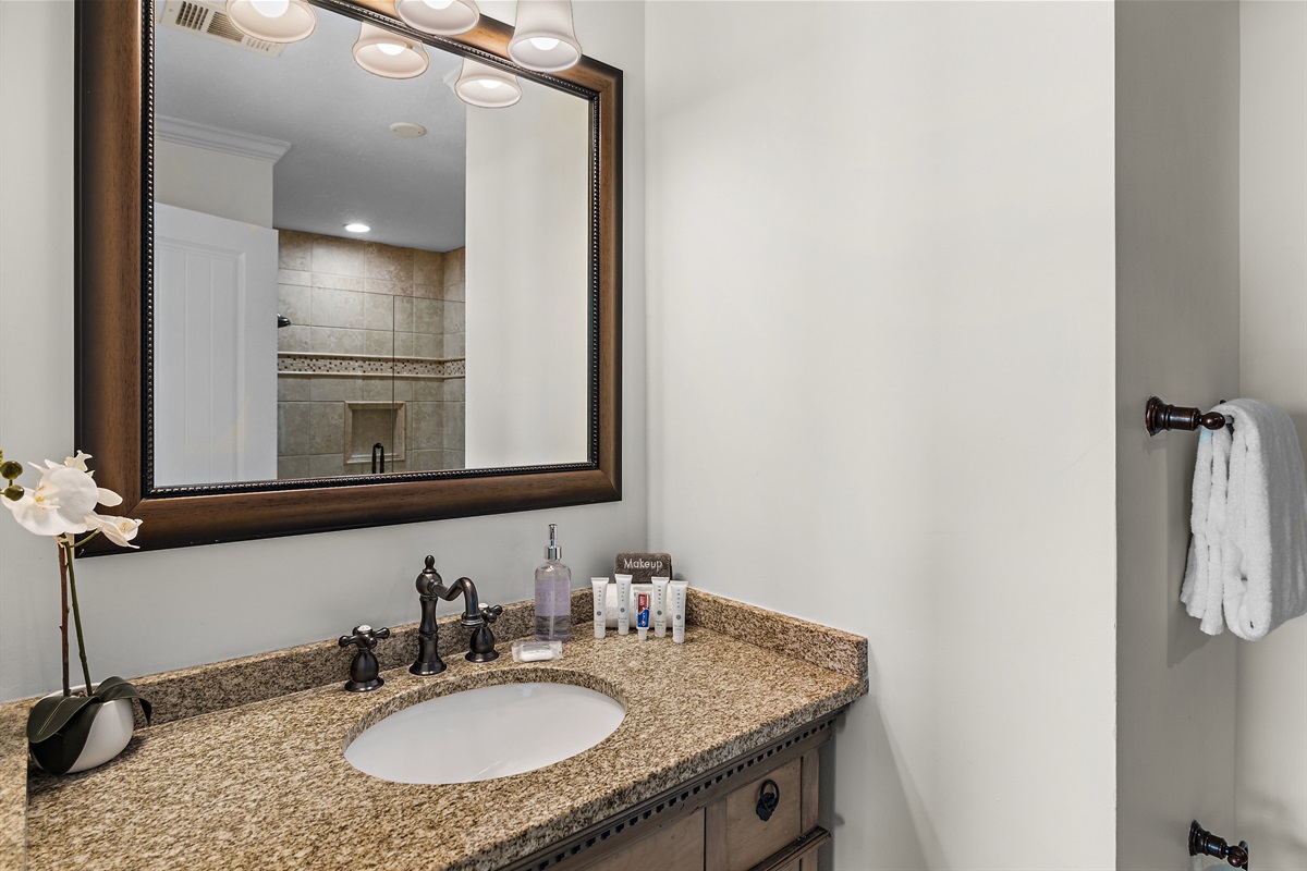 Private Remodeled Bathroom with Walk in Shower for the Master Bedroom
